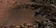 tn025.gif