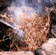 tn026.gif