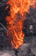 tn027.gif