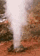 tn028.gif