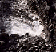 tn032.gif
