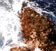 tn035.gif