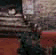 tn003.gif