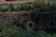 tn008.gif