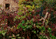 tn012.gif