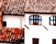 tn013.gif