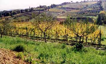 San Gimignano pics
