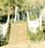 tn017.gif