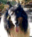 tn019.gif