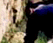 tn021.gif