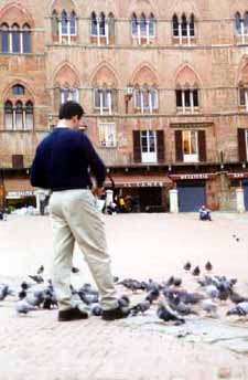 Siena pics