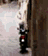 tn003.gif