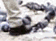 tn006.gif