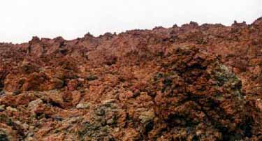Tenerife pics