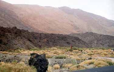 Tenerife pics