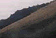 tn017.gif