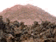 tn018.gif