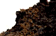 tn024.gif