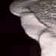 tn027.gif