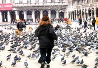 Venice pics