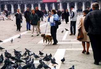 Venice pics