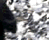 tn004.gif