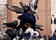 tn007.gif