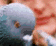 tn012.gif