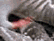 tn013.gif