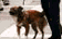 tn014.gif