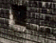 tn016.gif