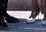 tn004.gif