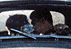 tn008.gif