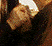 tn016.gif