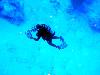 tnweb_mex1_014_6_23_04.jpg