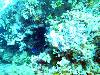 tnweb_mex1_025_6_23_04.jpg