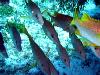 tnweb_mex1_032_6_23_04.jpg