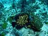 tnweb_mex1_038_6_23_04.jpg
