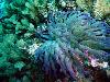tnweb_mex1_043_6_23_04.jpg