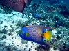 tnweb_mex1_047_6_23_04.jpg