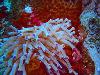 tnweb_mex1_056_6_23_04.jpg