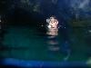 tnweb_mex1_070_6_23_04.jpg