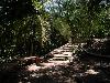tnweb_mex1_171_6_23_04.jpg