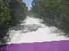 tnweb_mex1_175_6_23_04.jpg