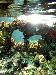 tnweb_mex2_008_6_24_04.jpg