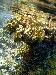tnweb_mex2_014_6_24_04.jpg