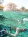 tnweb_mex2_051_6_24_04.jpg