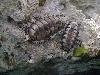 tnweb_mex2_055_6_24_04.jpg