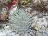 tnweb_mex2_079_6_24_04.jpg