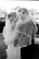 tn005.gif